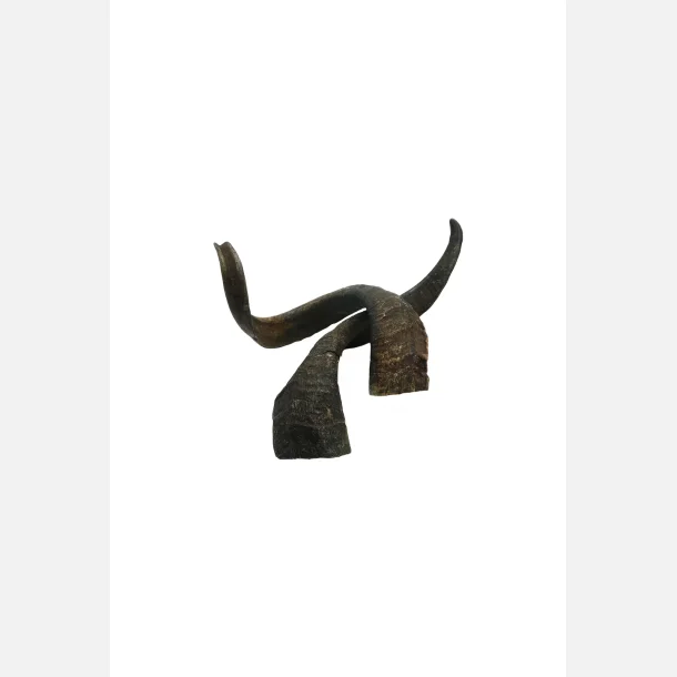 Whesco Gede horn 140g 1 stk