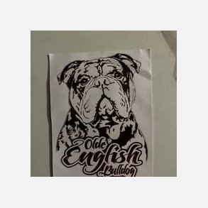 Stickers Old English Bulldog