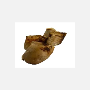 Whesco Store ko klove